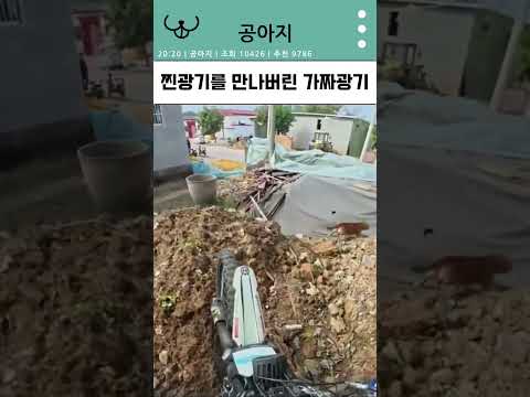 아이콘