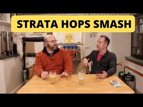 What Do Strata Hops Taste like? SMaSH Beer Experiment