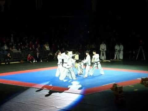North Korea demo team - Estonia 2011(breaking boards 2)
