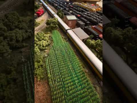 Grand Trunk Western Maple Leaf Passenger train countryside pass