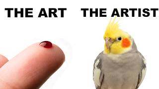 BIRB MEMES