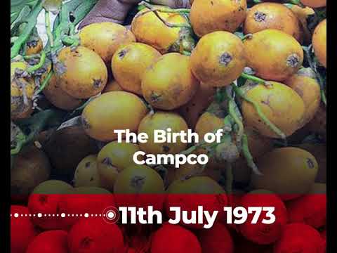 47 years of Campco
