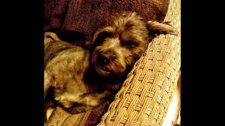 Walking On A Rainbow