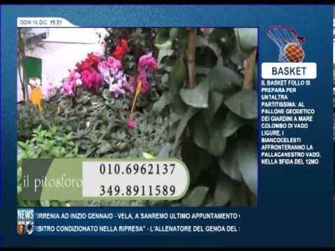 161212 DILETTANTISSIMO - PUNTATA 14