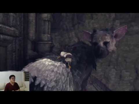 Where I Wanted To Kick Trico Off A Cliff - The Last Guardian
