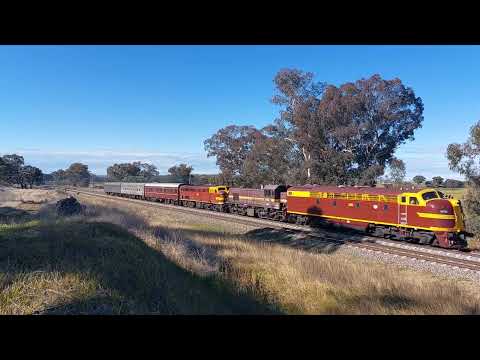 Heritage locomotives (4204, 4708 & 4464) at Marinna. ***HORN***