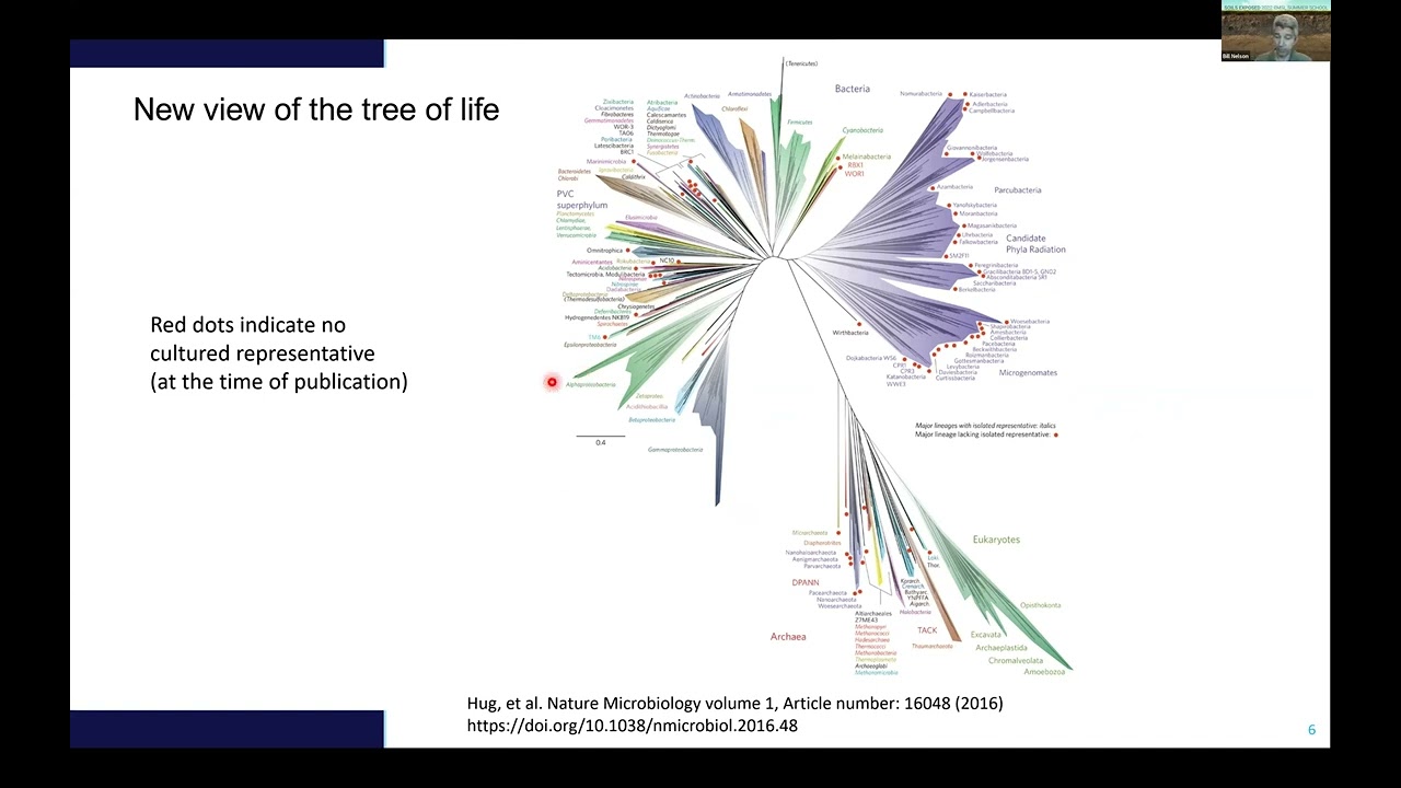 EMSL Summer School 2022 Day 2: Environmental Genomics