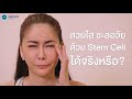 เมโสแฟต ยี่ห้อไหนดี