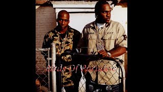 Troy Ave x Clipse Instrumental "Birds Of Paradise" [Sunny] [Afrobeat]