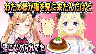 角巻わためが猫を見に来た話【癒月ちょこ/ホロライブ/ホロライブ切り抜き/切り抜き/clip】