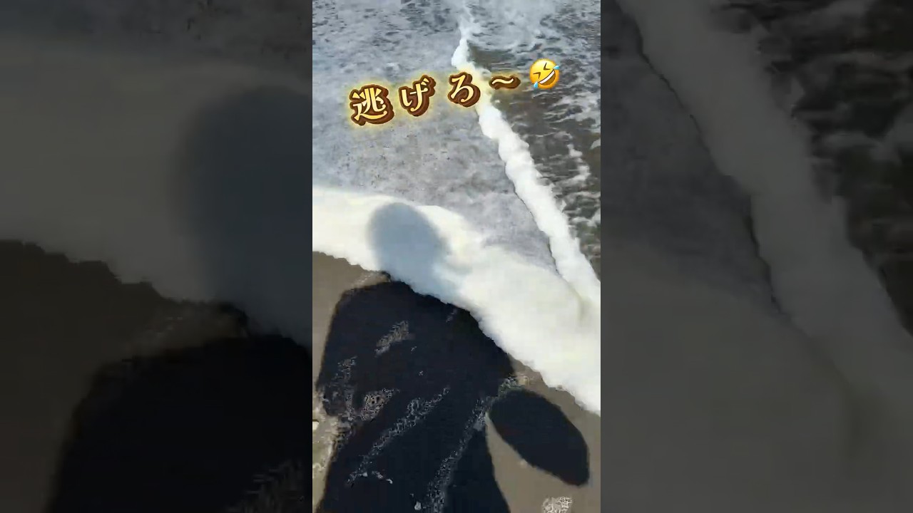 海辺で影と遊んでたら、予想外すぎる展開に…😳🌊#波打ち際 #面白ハプニング #海Vlog #影遊び #海あるある #海で遊ぶ #波に追われる