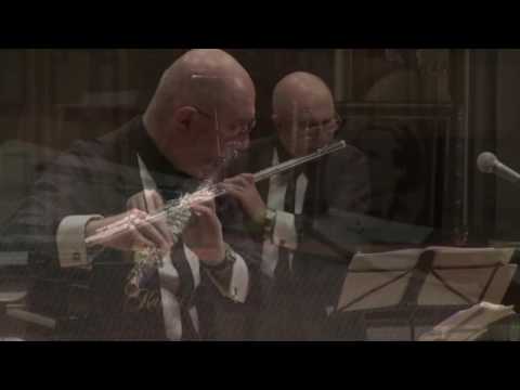 @ionbogdanstefanescu  The Feathered Serpent VII by Violeta Dinescu