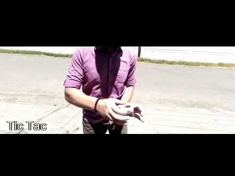 Saturn Magic - PenStrawtration by Armin Peter video DOWNLOAD