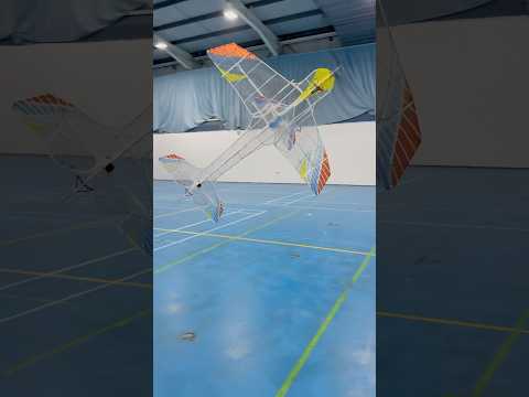 F3P indoor flight #BigUpTheIndoor