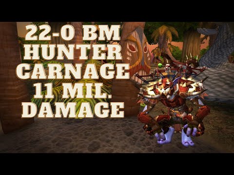 22-0 Bm Hunter Carnage 11 Mil. Damage