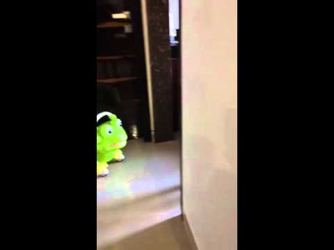 Peek-a-boo 15 months