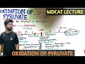oxidation of pyruvate | NMDCAT 2021