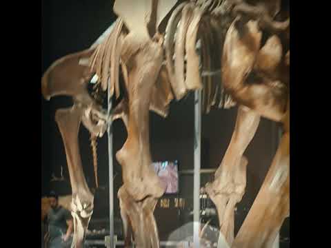 Le Jardin Exotique de Monte-Carlo (Exotic Garden of Monaco) - Bobby Caldwell / Sunny Hills