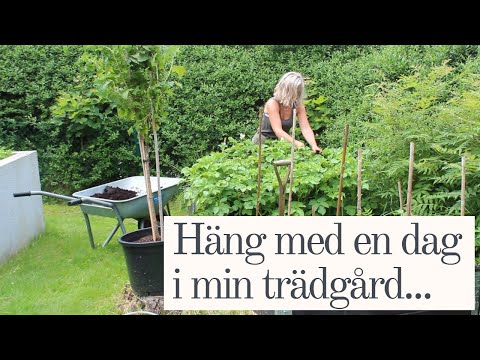 Häng med en dag i min Trädgård! Vlogg - Juni
