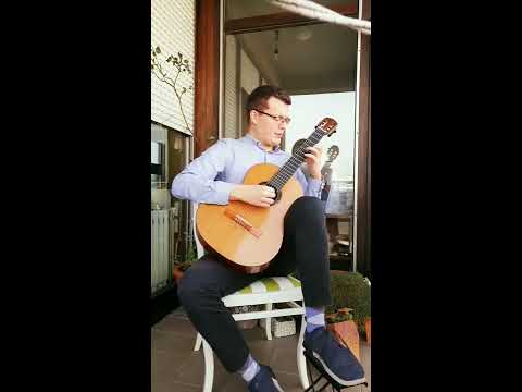 Weiss Ciaccona perfomed by Srdjan Bulat