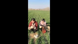 Download lagu 3xsxi7x778fgufs.mp4 mp3 Download lagu 3xsxi7x778fgufs.mp4 mp3