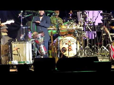 Ziggy Marley Fly Rasta Cali Roots 14