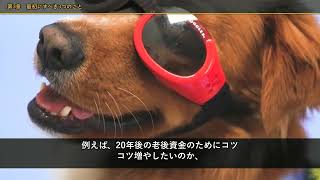 【永久保存版】株式投資の教科書〜初心者がゼロから全部わかる完全ガイド〜