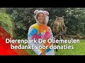 Oliemeulen kan even opgelucht ademhalen: 35.000 euro ingezameld