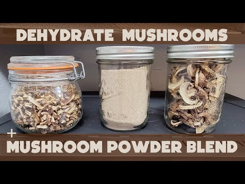 Dehydrating Mushrooms, Making Mushroom Powder | Sahara Folding Dehydrator