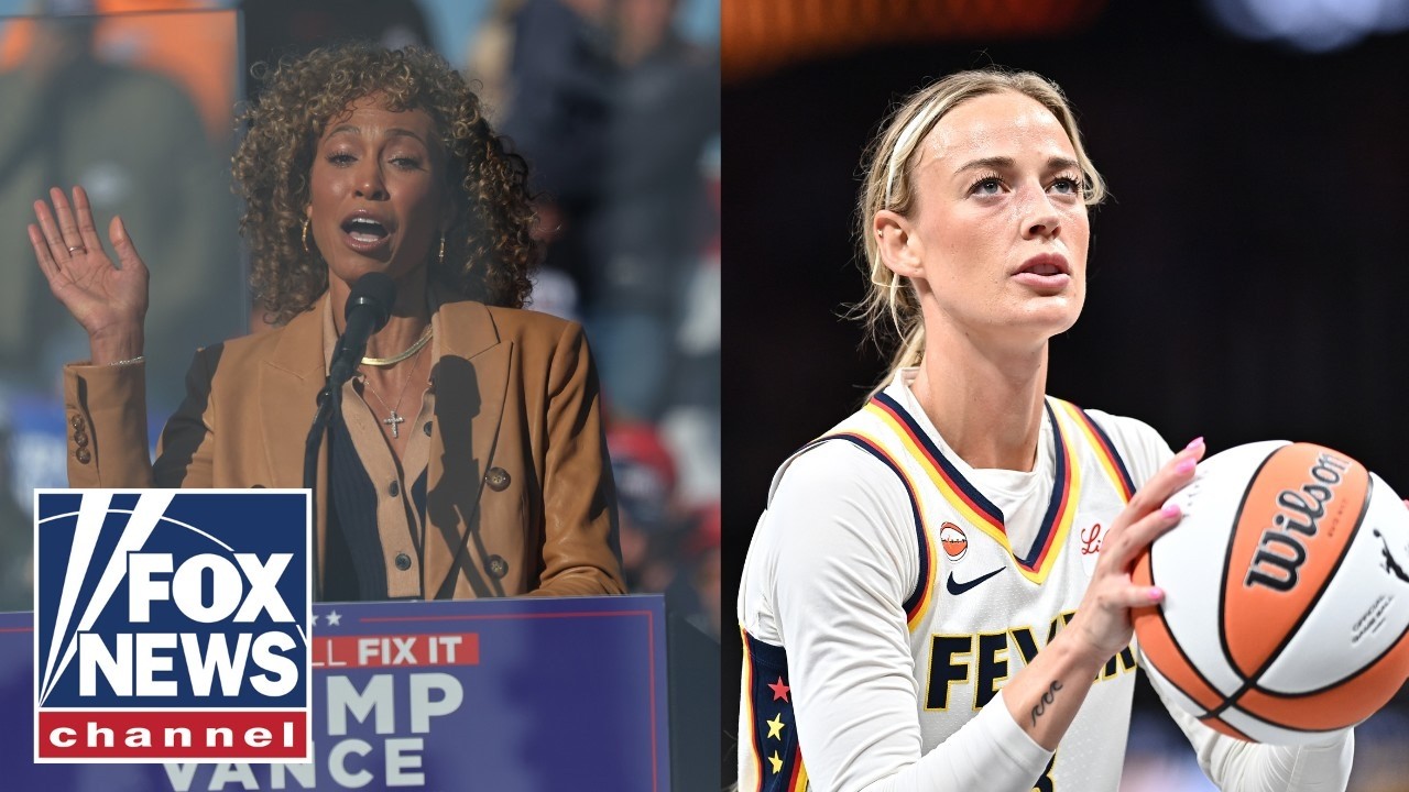 Sage Steele: I'm shocked Democrats want to argue this