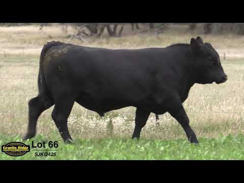 GRANITE RIDGE QALETAQA Q425