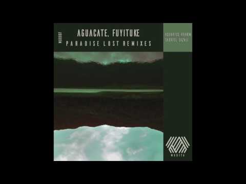 Aguacate, Fuyituke - Paradise Lost (Aquarius Heaven Remix)