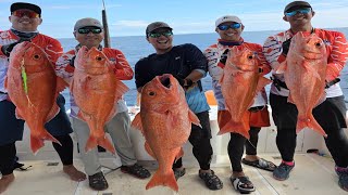 PESTA STRIKE DIMARKAS RUBY BAGONG❗️❗️JACKPOT KERAPU KERTANG || MR NICE GUY