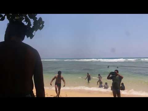 Trip to Unavatuna 3  (T Swims in Unawatuna)