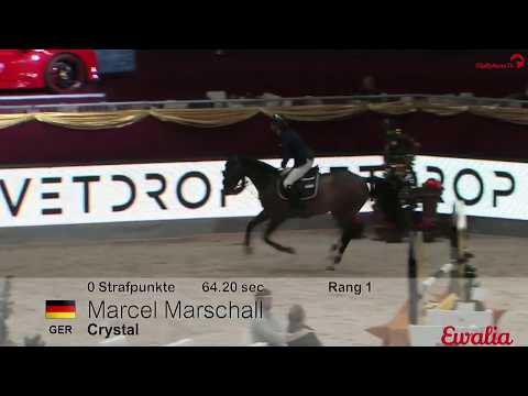 Holsteiner im Rampenlicht - Crystal (v. Carentan-Silvester) und Marcel Marschall  - CSI4* Salzburg