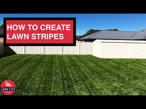 Lawn Striping | Stripe Your Lawn Like A Pro
