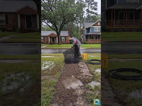 Worst Muddy Path Ever Gets a Stunning Makeover! 😱🌸