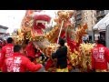 Lion \ Dragon Dance \ Chinese LUNAR NEW YEAR.