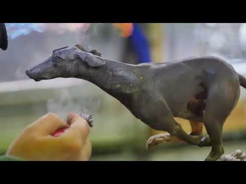 Fortelier Presents: Nikola Kolev