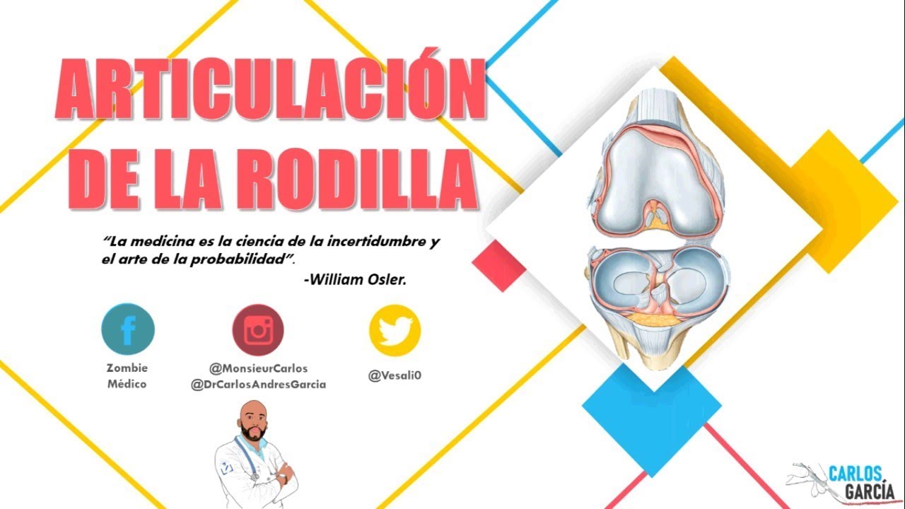 Anatomía - Articulación de la Rodilla (Medios de Unión, Ligamentos, Vasos y Nervios)