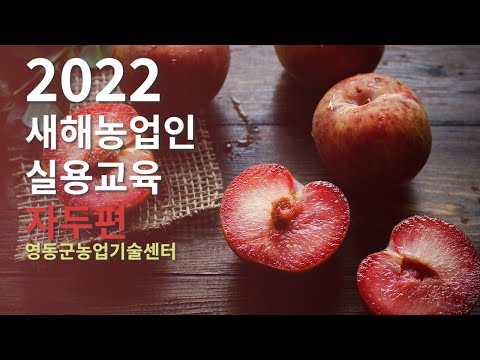 , title : '2022 새해농업인실용교육 자두편'