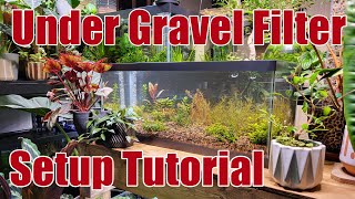 Under Gravel Filter - How To Set Up Yours #tutorial #aquarium #houseplants #fishtank 