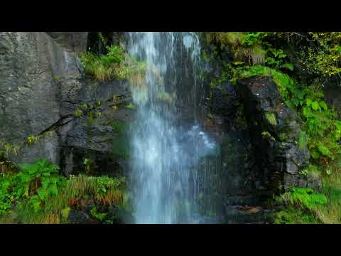 Senda de la Cascada de Sotillo (P. N. Lago de Sanabria y Sierras de Segundera y Porto - Zamora)