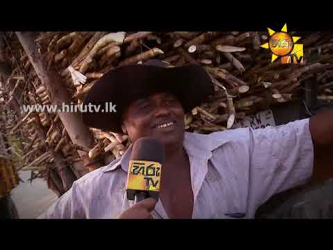 Hiru TV