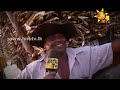 hiru-tv-top-light-24-07-2015