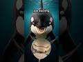 Orcas Are Disturbing