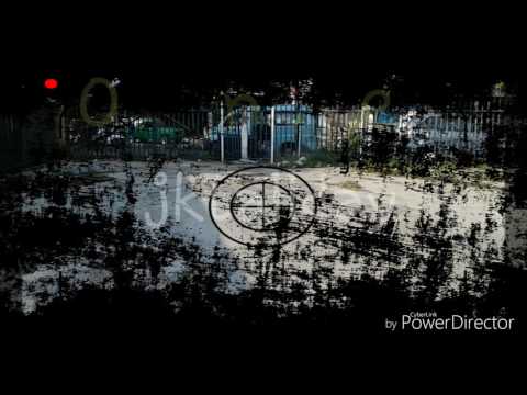 Jktallday | zora one year