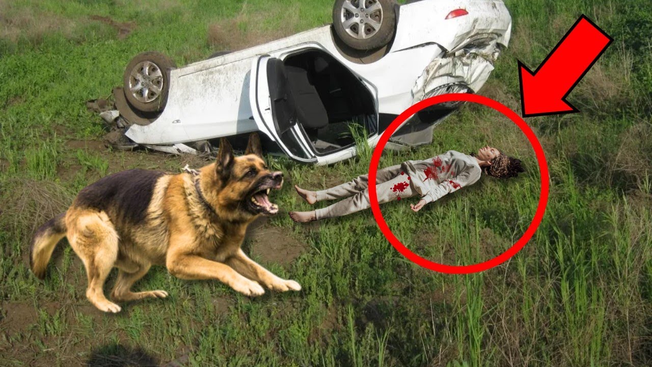 YouTube Thumbnail Downloader FULL HQ IMAGE