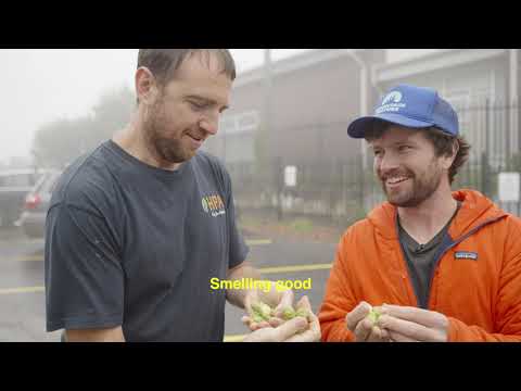 Garden Snake Wet Hop NEIPA