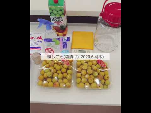 九州女子大学　人間生活学科　調理学実習Ⅱ　梅しごと（塩漬け）動画